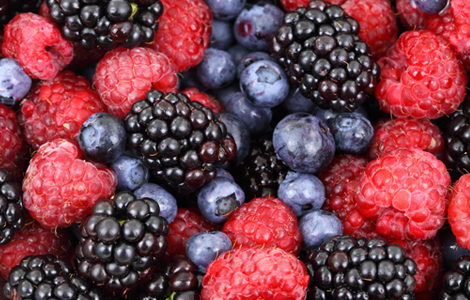 Moras coloridas