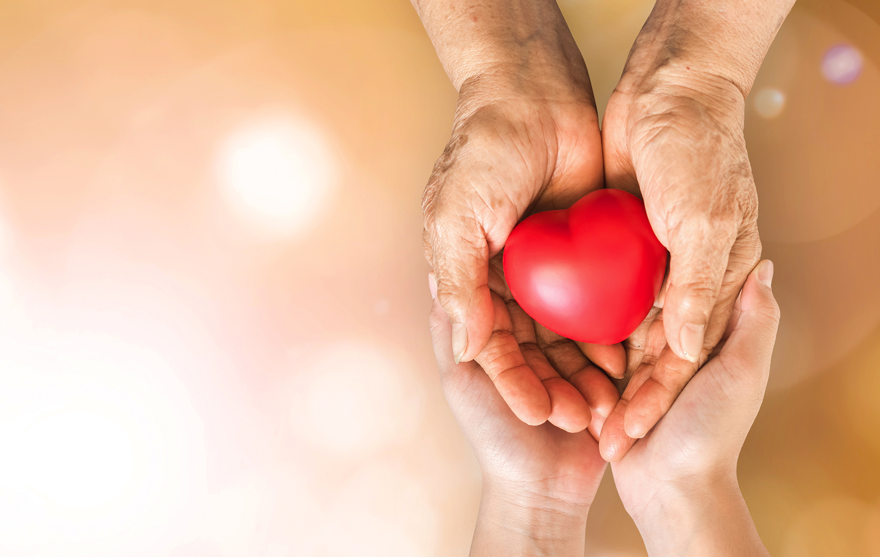 Hands Holding Red Heart
