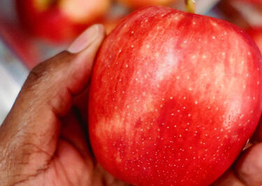 A hand holding a red apple in kitchen.